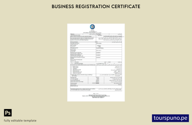 listo para imprimir Certificado de IVA de Arabia Saudita Plantilla de plantilla 